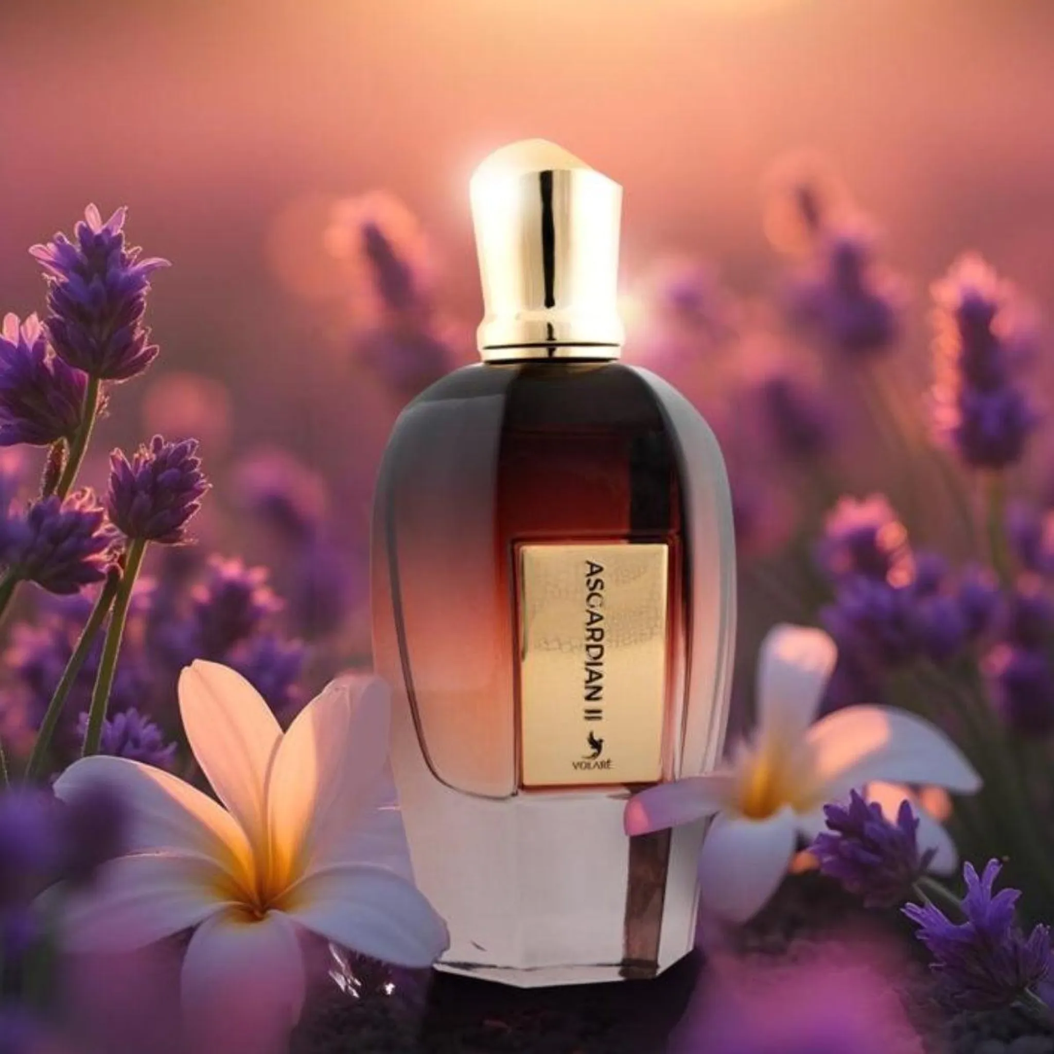 Volare Asgardian II Eau de Parfum 100 ml - Image 3